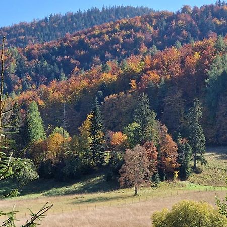 Akra Lejlighed Zakopane Eksteriør billede
