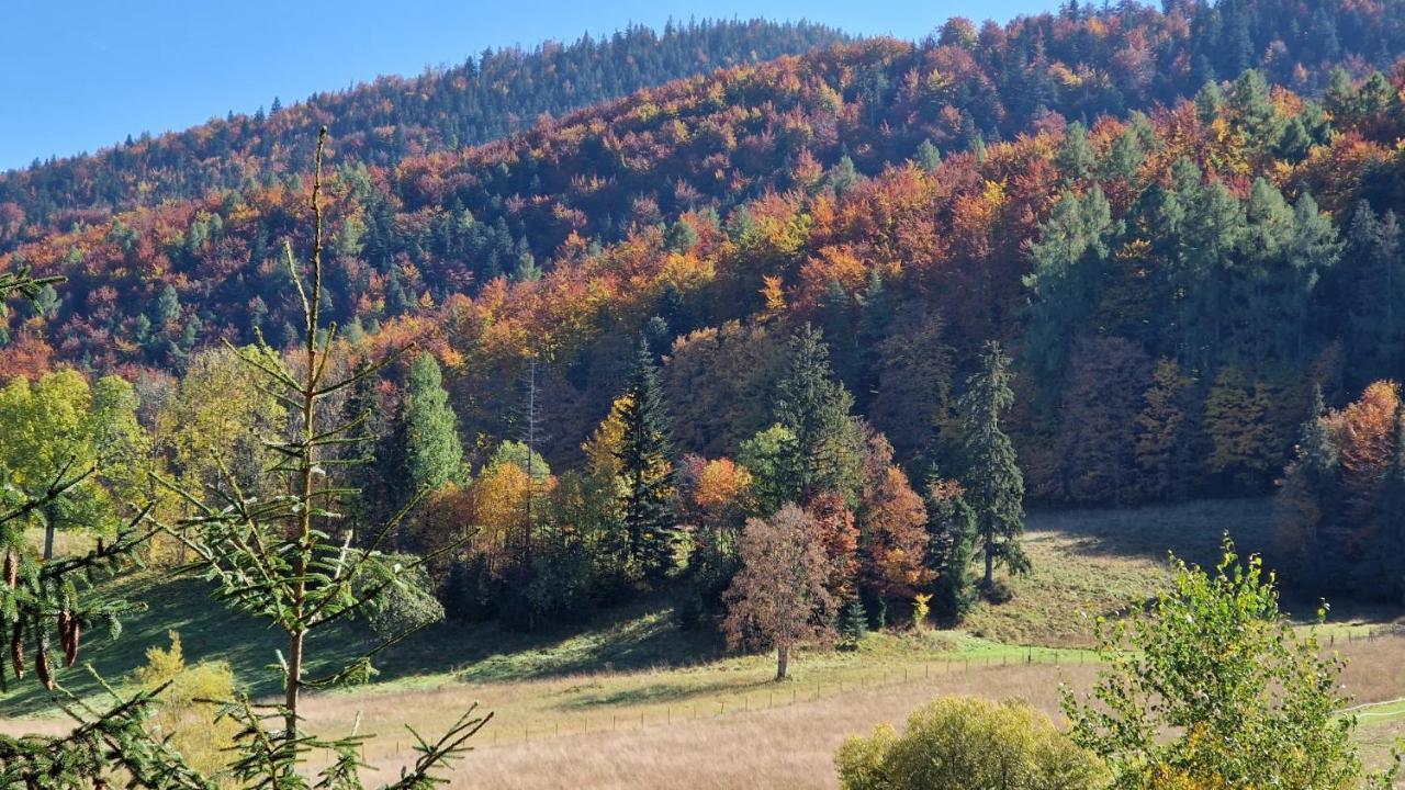 Akra Lejlighed Zakopane Eksteriør billede